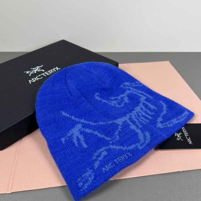 Arcteryx hat dx (20)