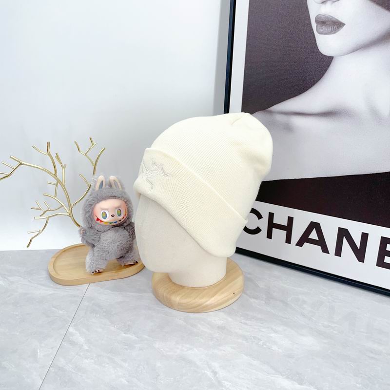 Arcteryx hat dx (2133)