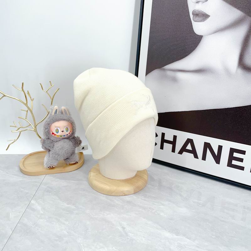 Arcteryx hat dx (2134)