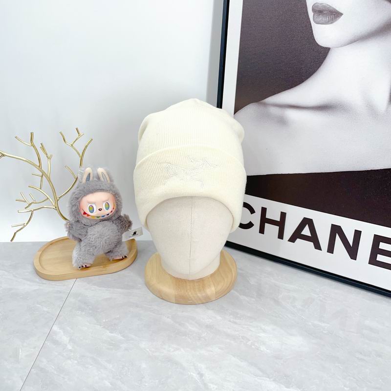 Arcteryx hat dx (2135)