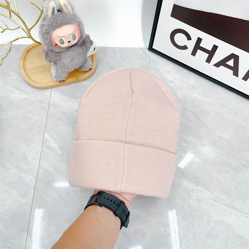 Arcteryx hat dx (2138)