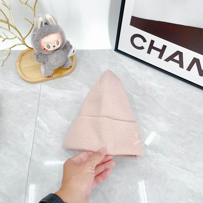 Arcteryx hat dx (2139)