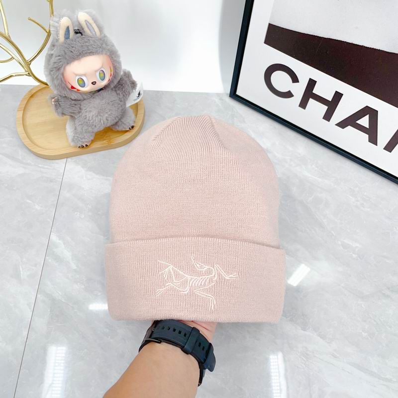 Arcteryx hat dx (2140)