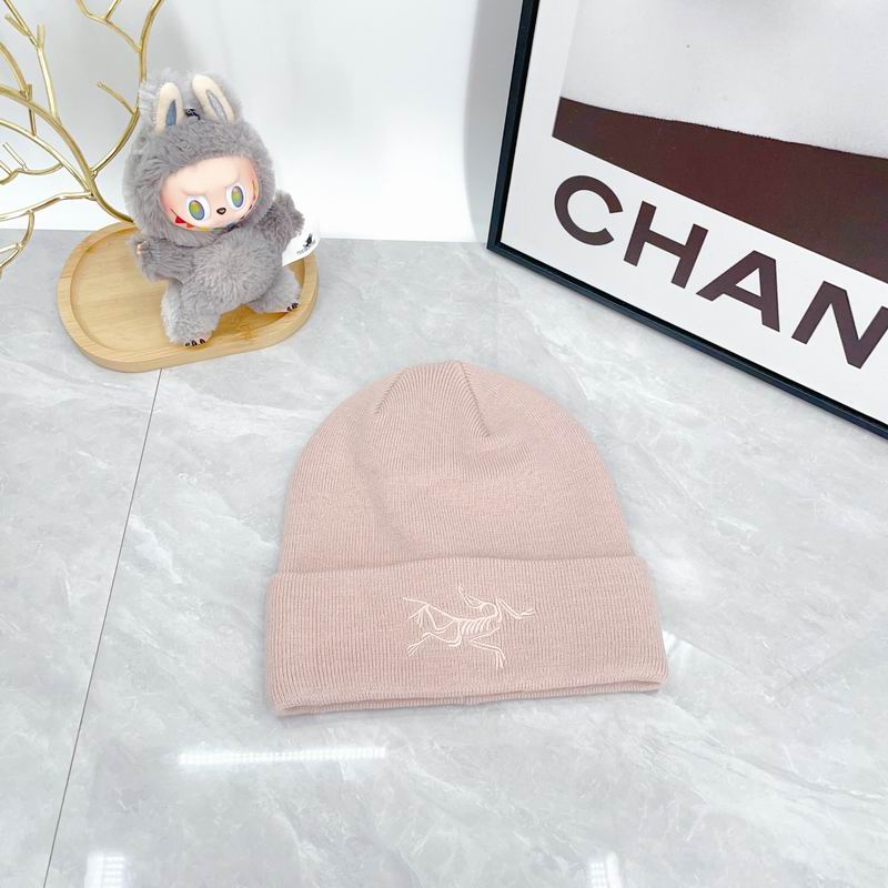 Arcteryx hat dx (2141)