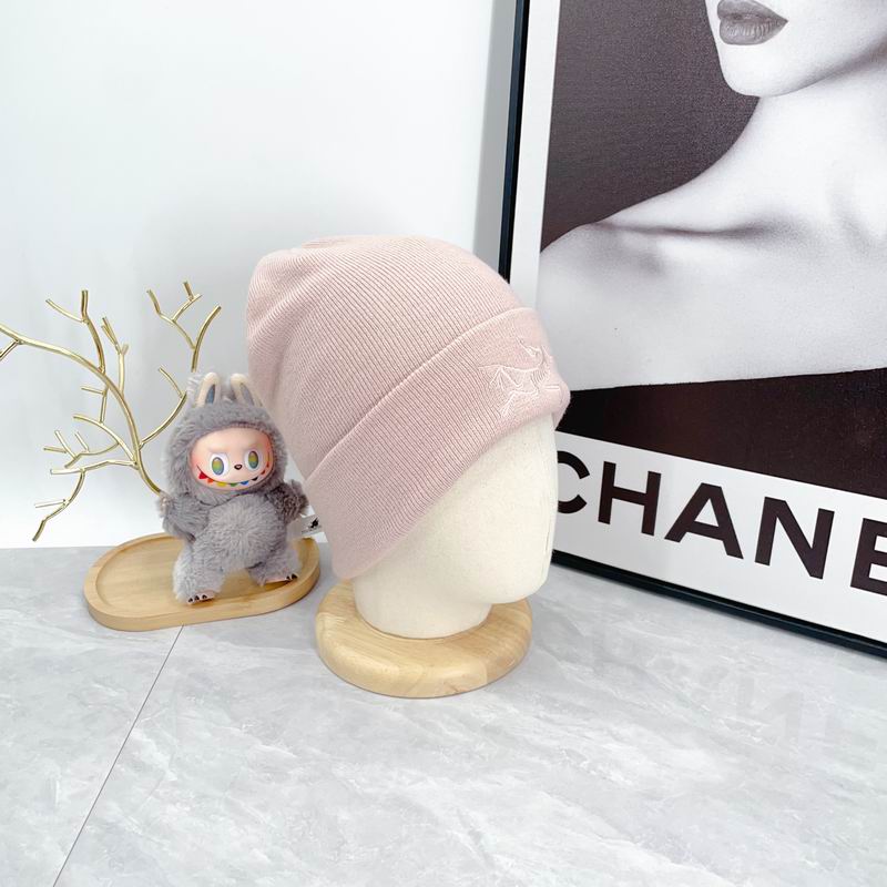 Arcteryx hat dx (2142)