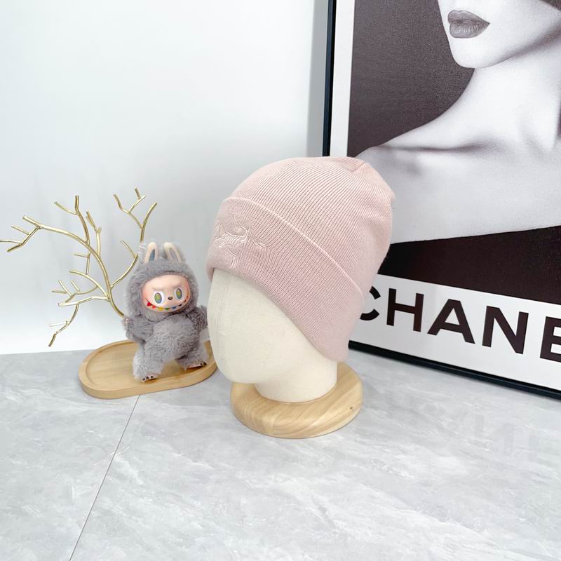 Arcteryx hat dx (2143)