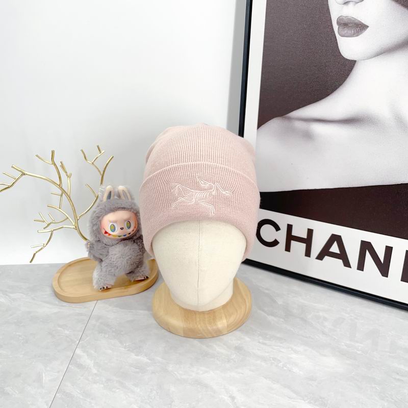 Arcteryx hat dx (2144)