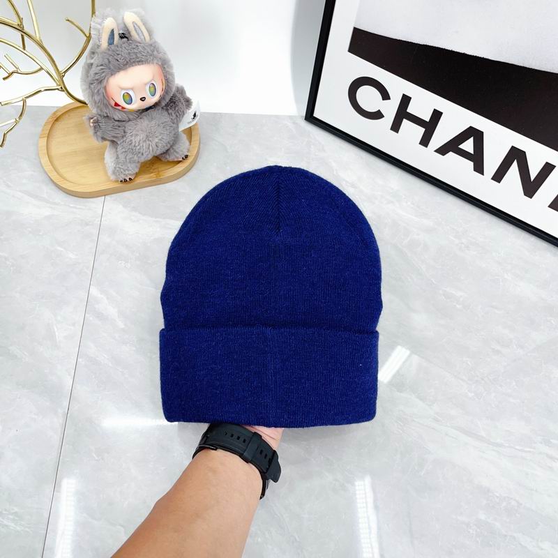 Arcteryx hat dx (2146)