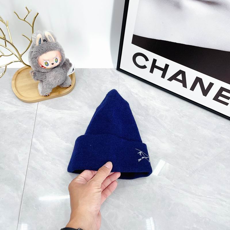 Arcteryx hat dx (2147)