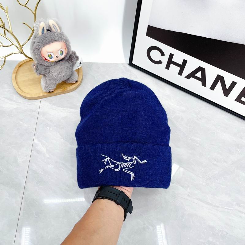 Arcteryx hat dx (2148)