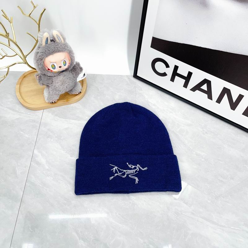 Arcteryx hat dx (2149)