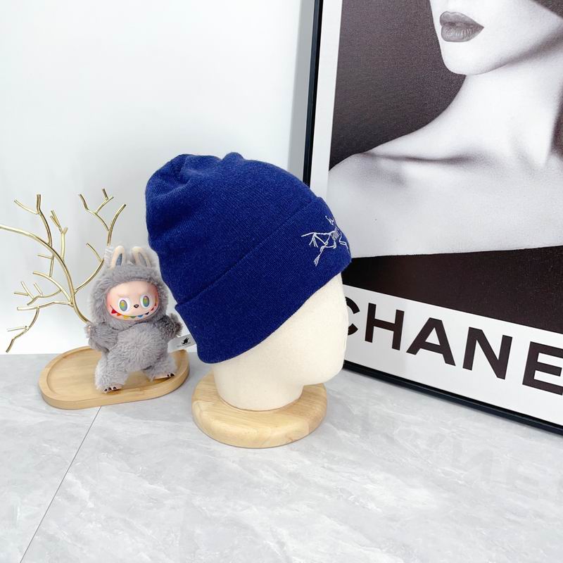 Arcteryx hat dx (2150)