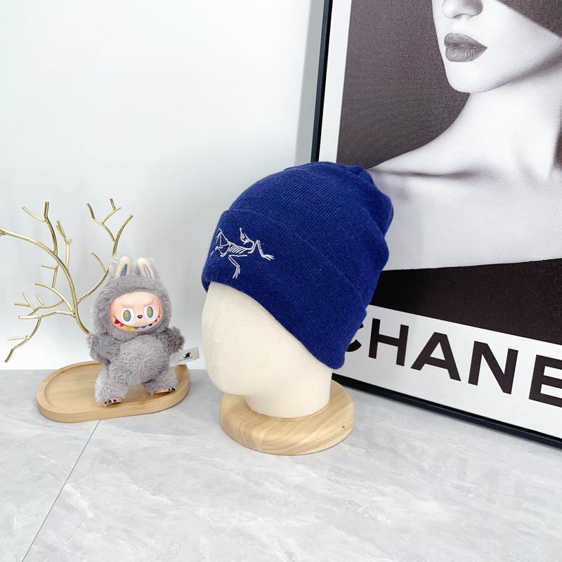 Arcteryx hat dx (2151)