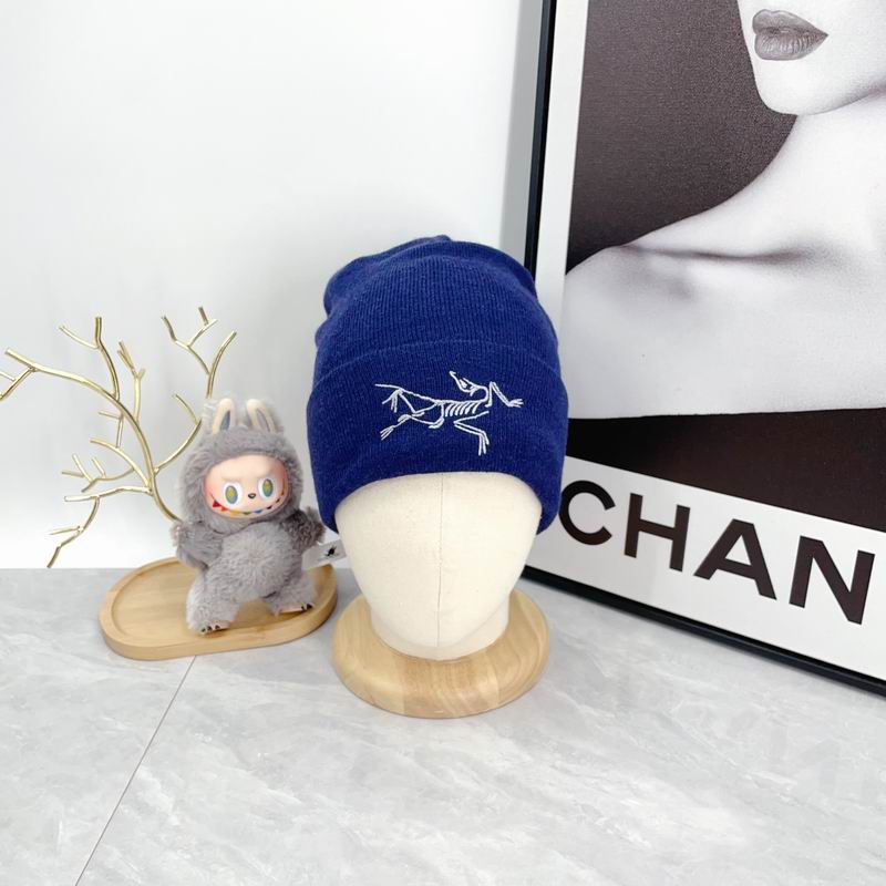 Arcteryx hat dx (2152)