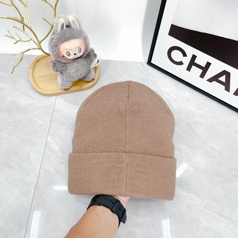 Arcteryx hat dx (2155)