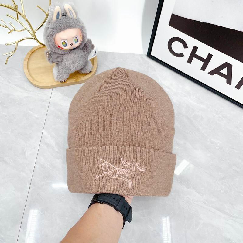 Arcteryx hat dx (2157)