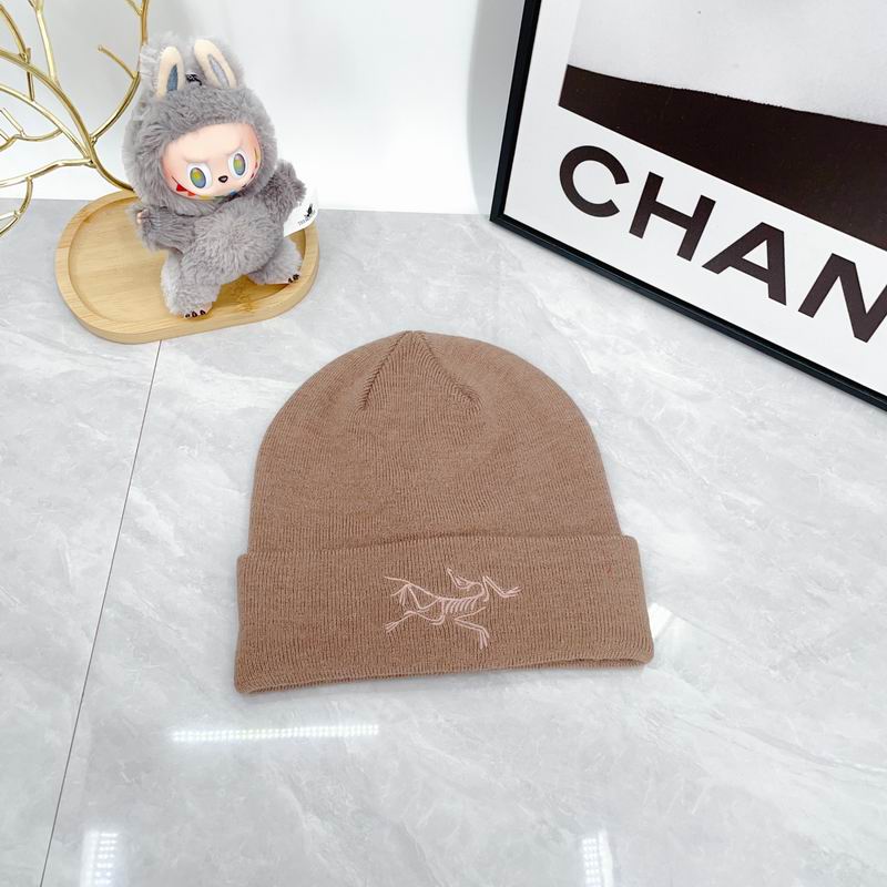 Arcteryx hat dx (2158)