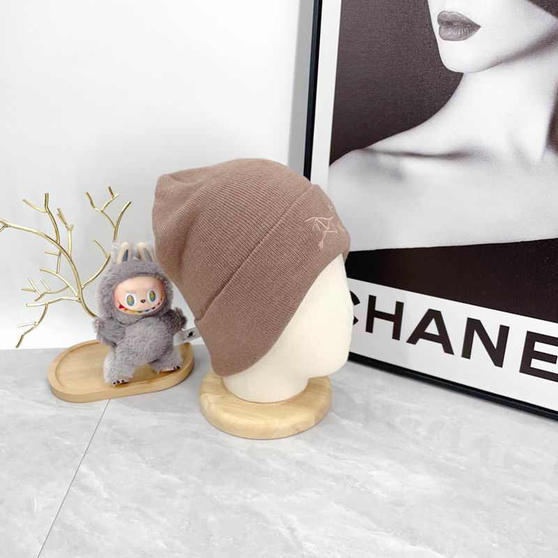 Arcteryx hat dx (2159)