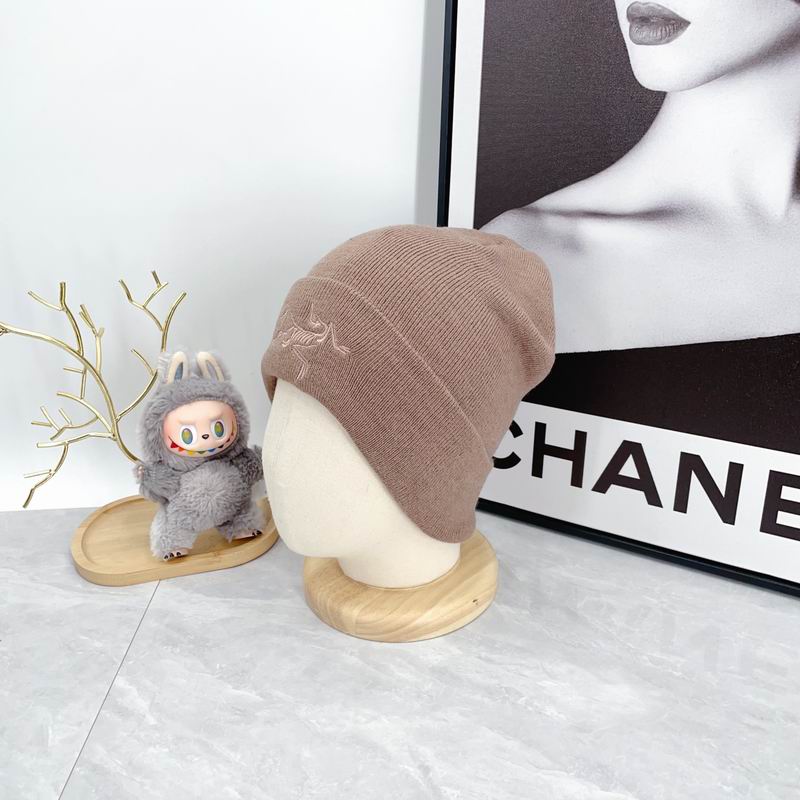 Arcteryx hat dx (2160)