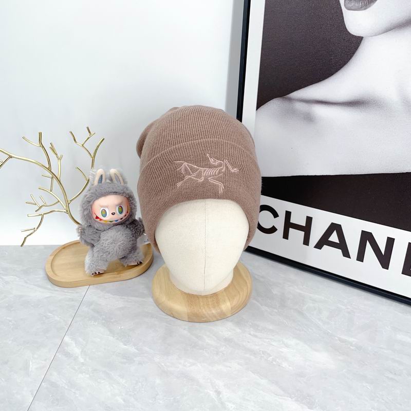 Arcteryx hat dx (2161)