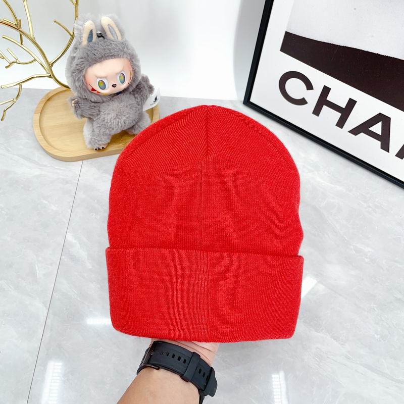 Arcteryx hat dx (2164)