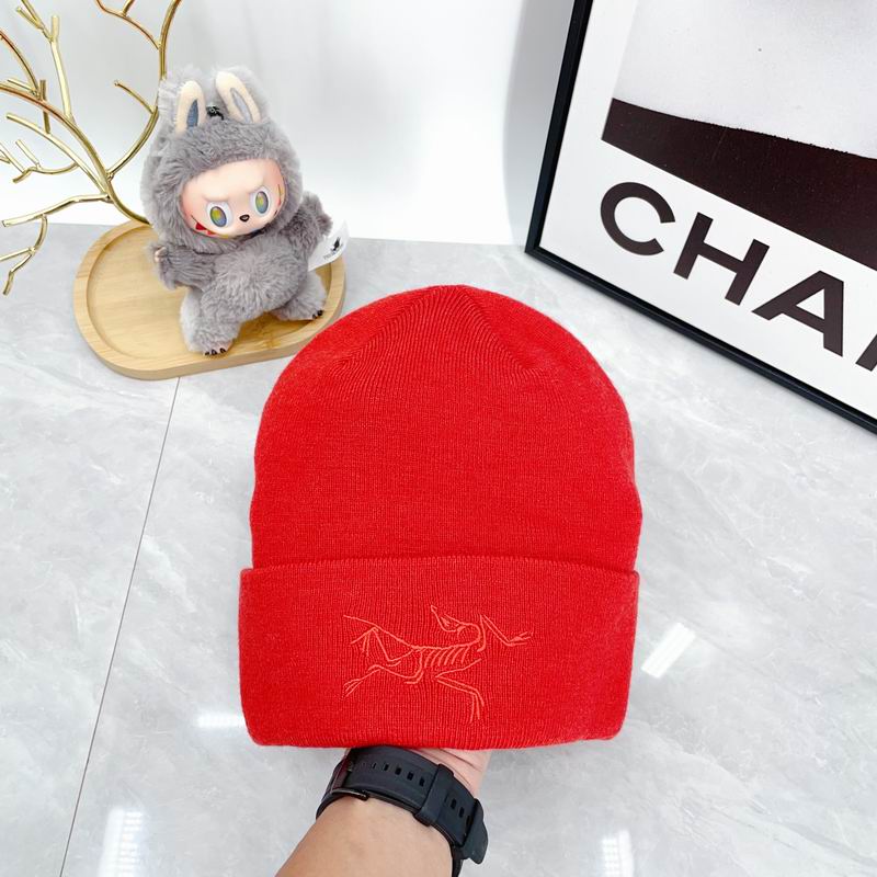 Arcteryx hat dx (2166)