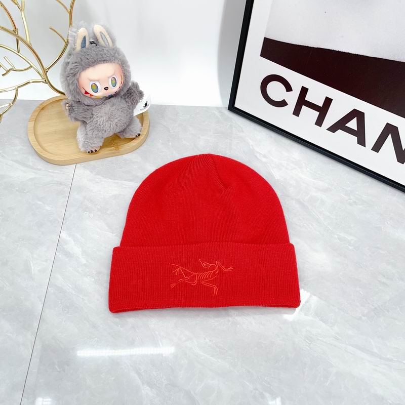 Arcteryx hat dx (2167)