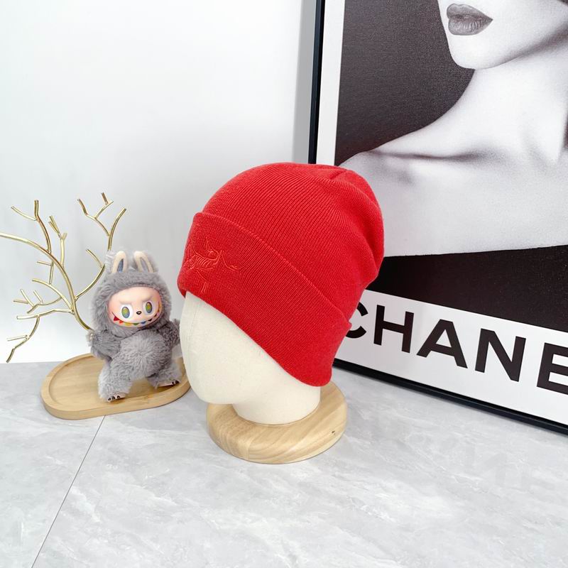 Arcteryx hat dx (2168)