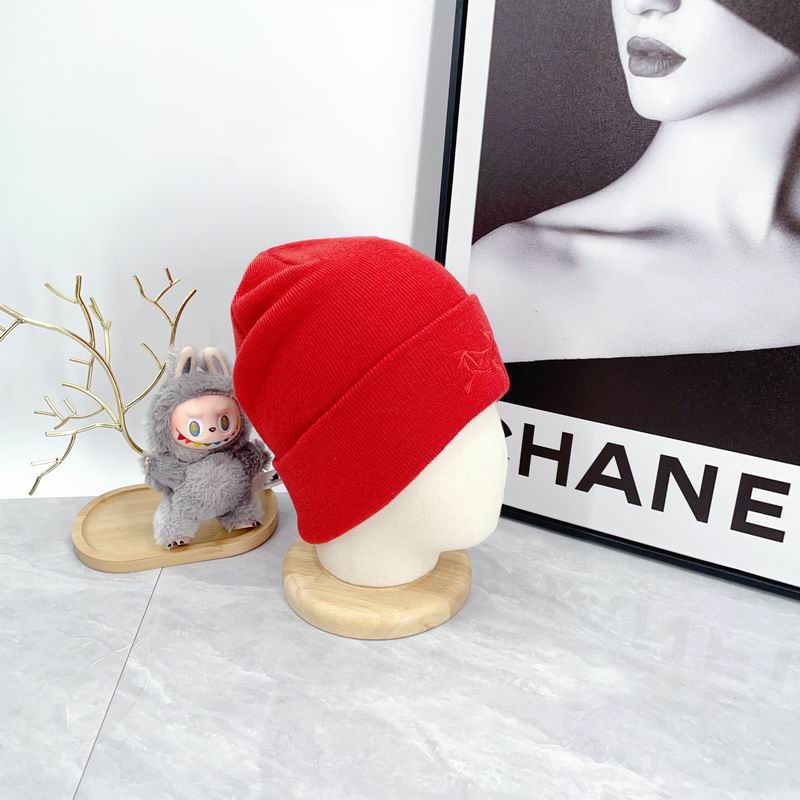 Arcteryx hat dx (2169)