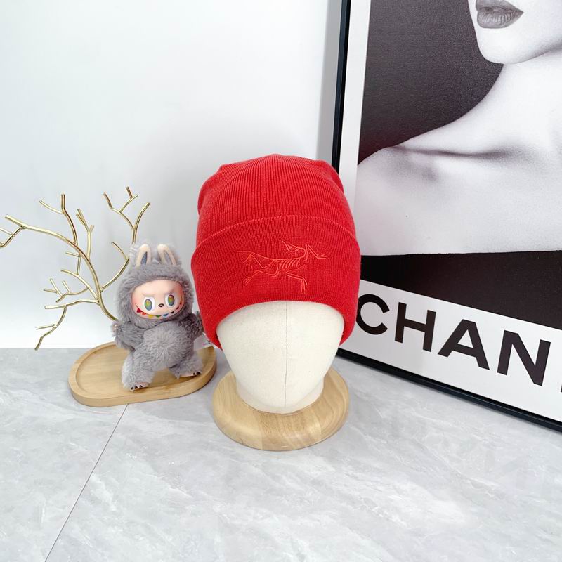 Arcteryx hat dx (2170)