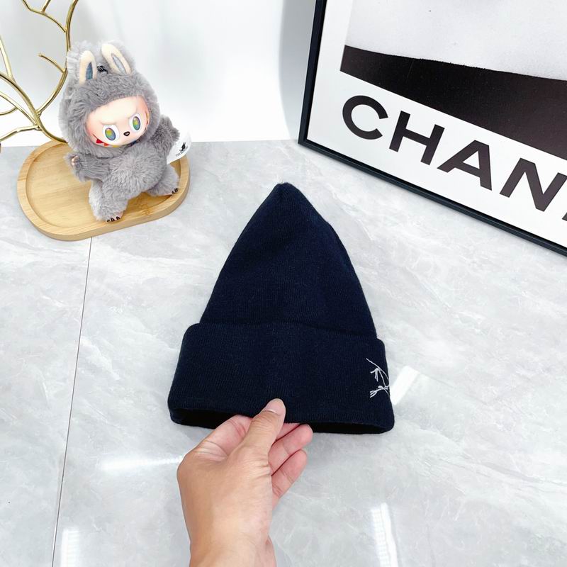 Arcteryx hat dx (2174)