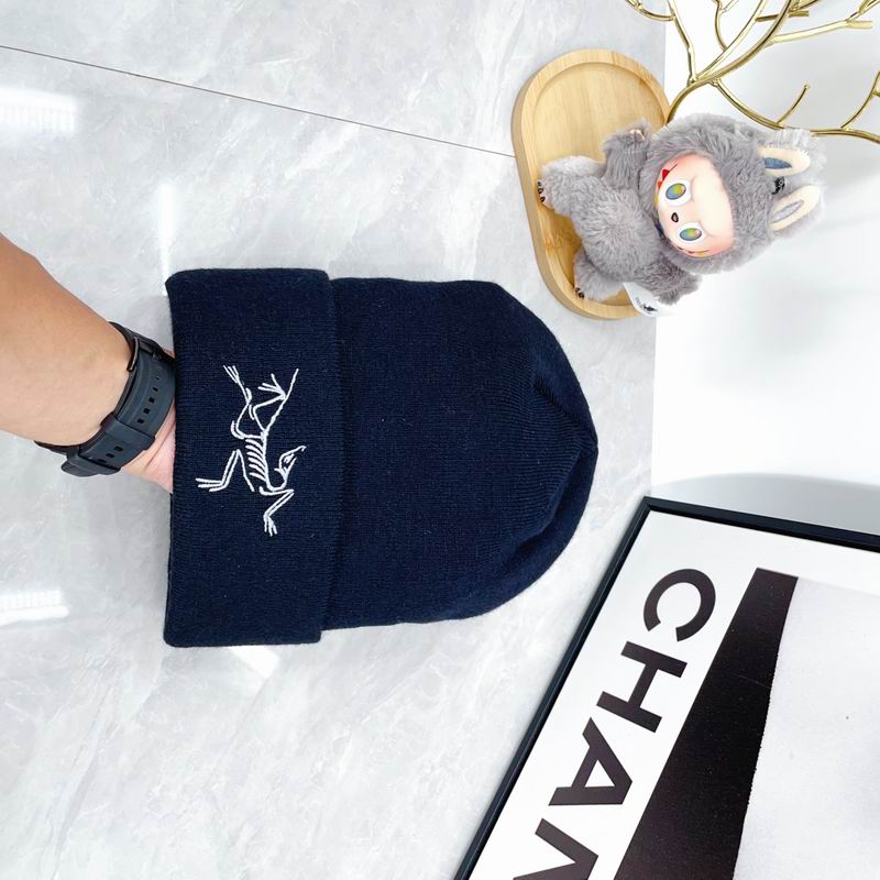 Arcteryx hat dx (2175)