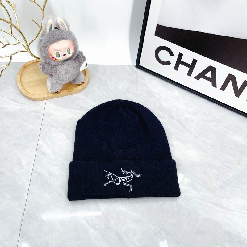 Arcteryx hat dx (2176)