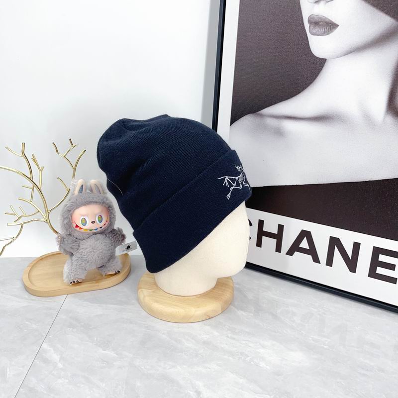 Arcteryx hat dx (2177)