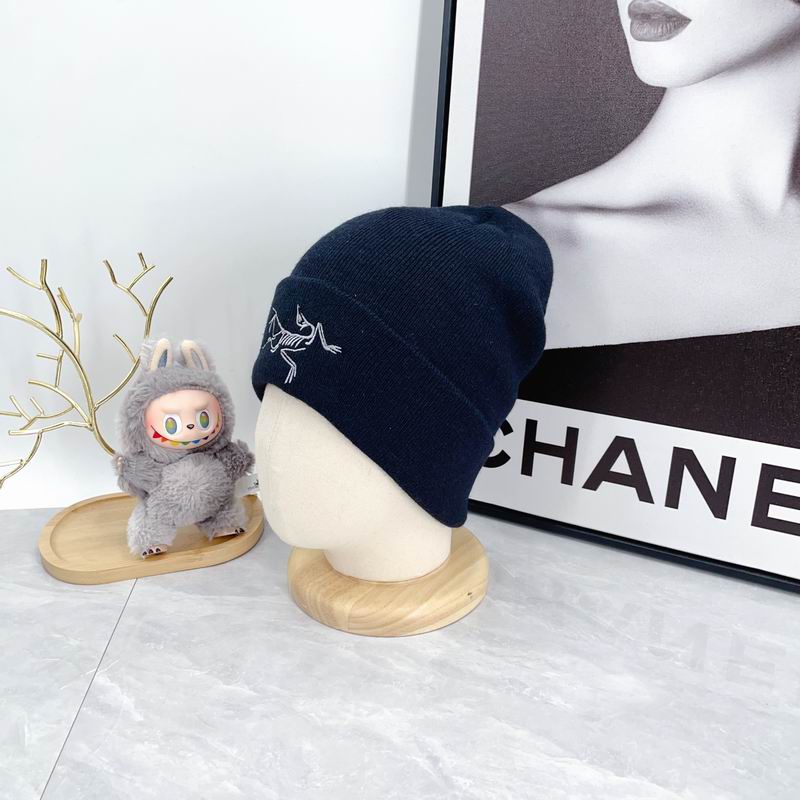 Arcteryx hat dx (2178)