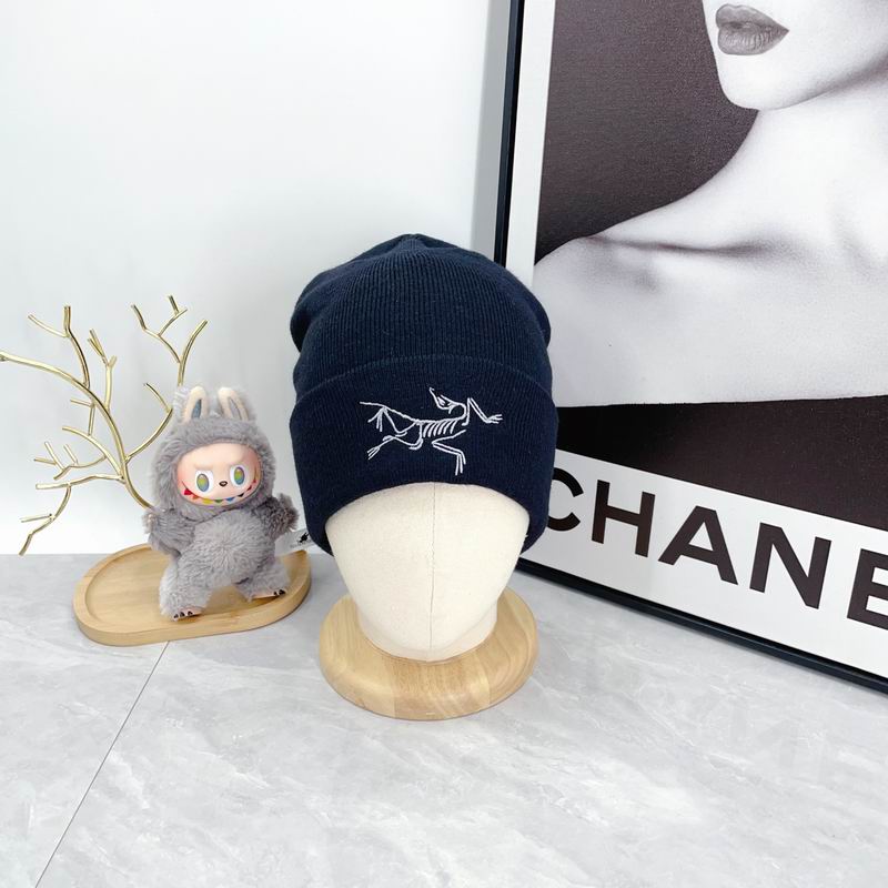 Arcteryx hat dx (2179)