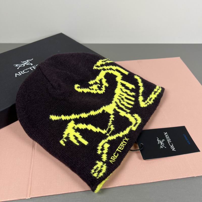 Arcteryx hat dx (22)