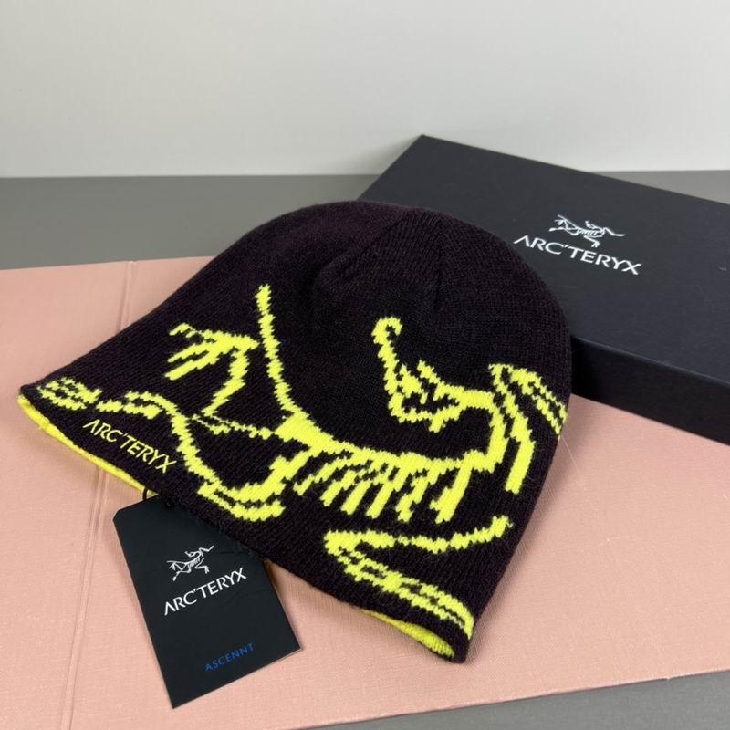 Arcteryx hat dx (23)