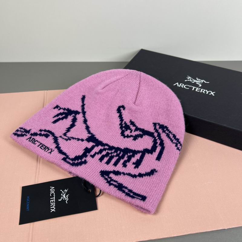 Arcteryx hat dx (24)