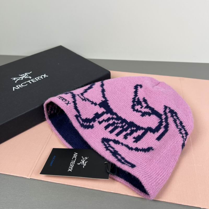 Arcteryx hat dx (25)