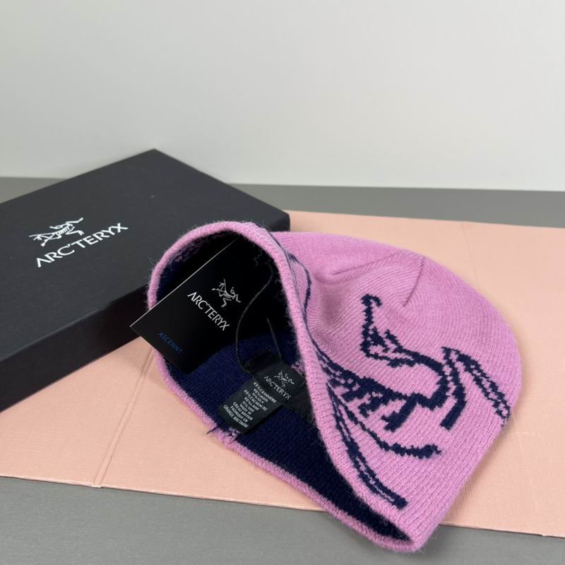 Arcteryx hat dx (26)