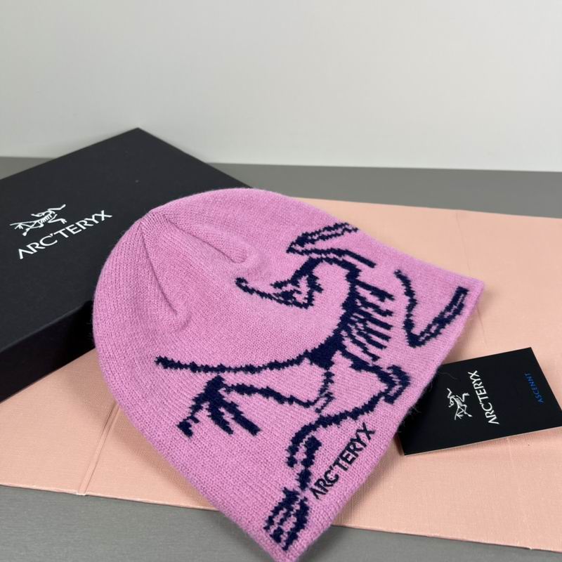 Arcteryx hat dx (27)