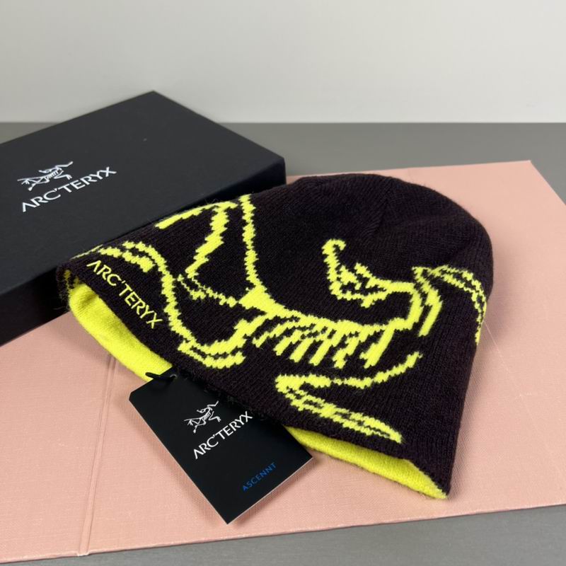 Arcteryx hat dx (29)