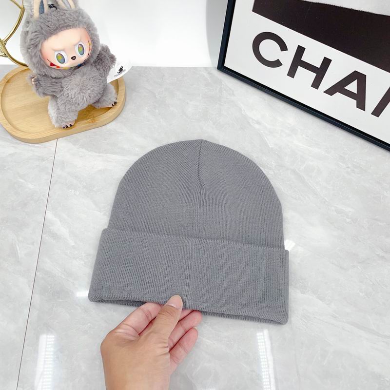 Arcteryx hat dx (2918)