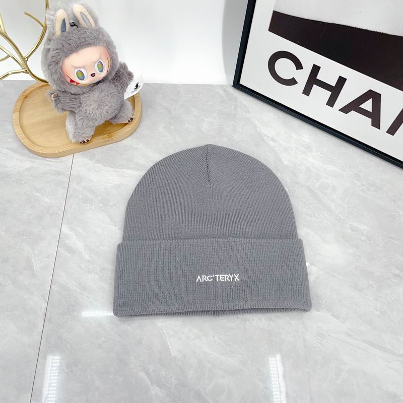 Arcteryx hat dx (2921)