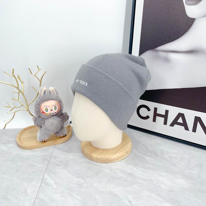 Arcteryx hat dx (2923)