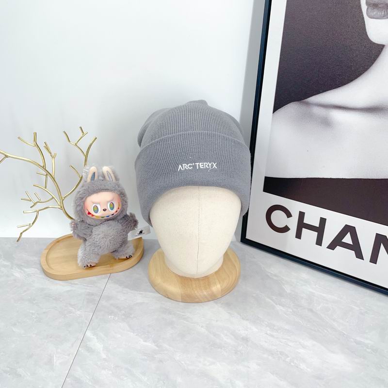 Arcteryx hat dx (2924)