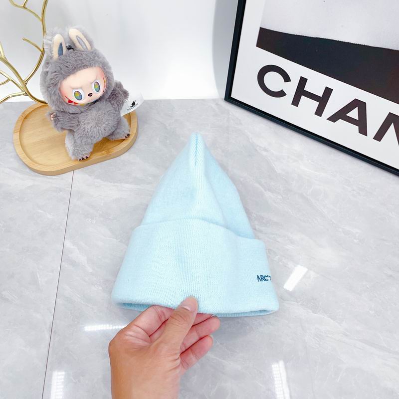 Arcteryx hat dx (2928)