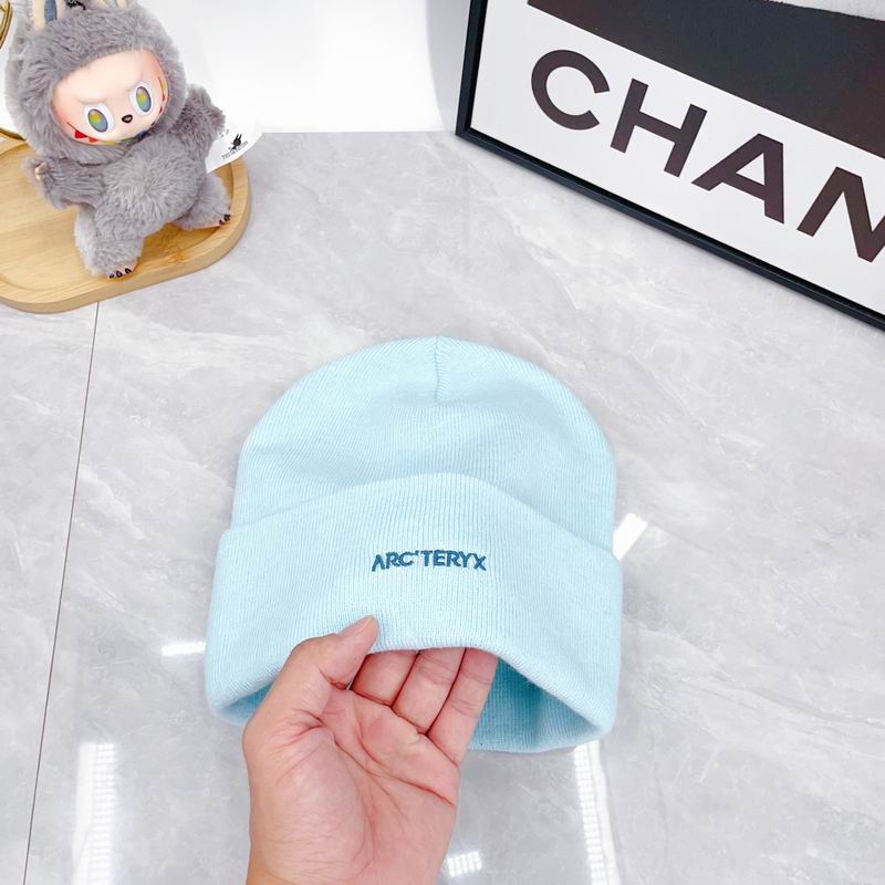 Arcteryx hat dx (2929)