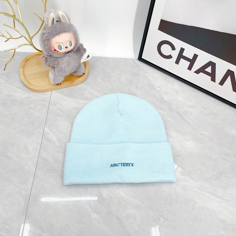 Arcteryx hat dx (2930)